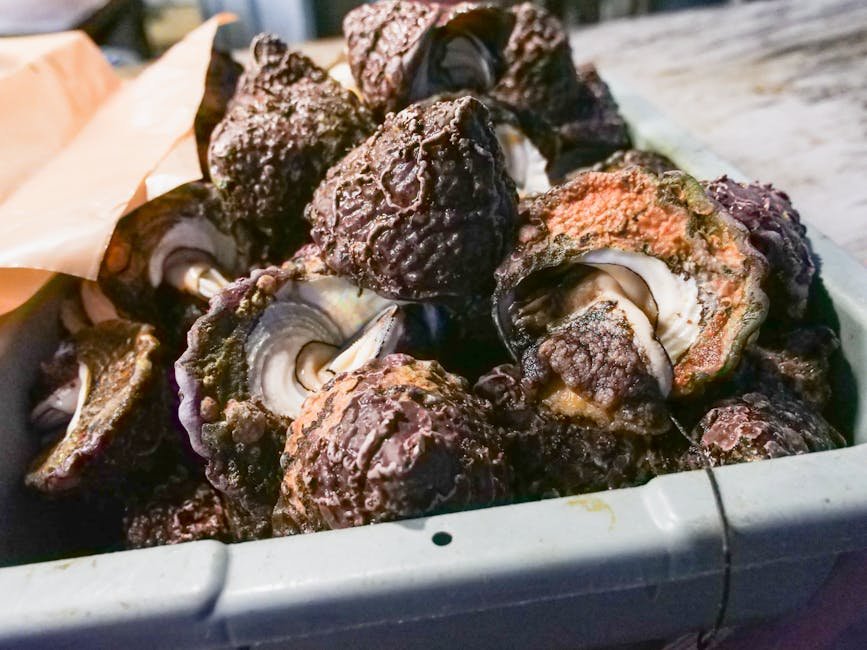 Meal Prep Bowls Low Calorie and Filling